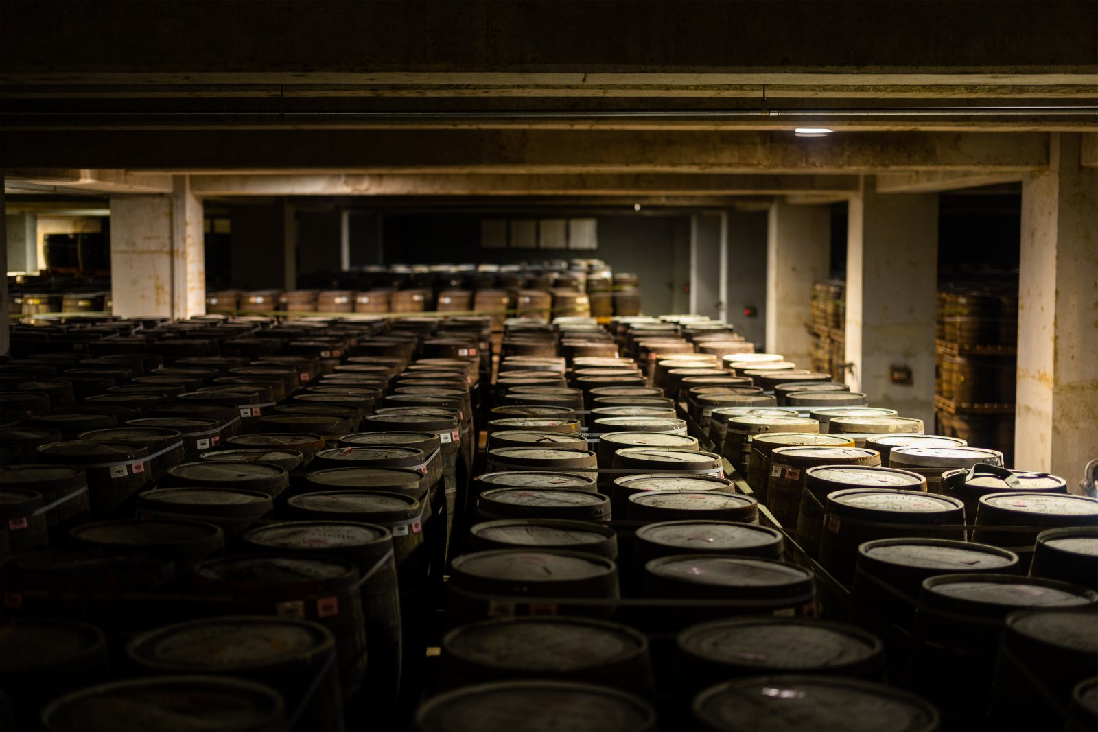 barrels in warehouse stacked 2023 11 27 05 07 08 utc